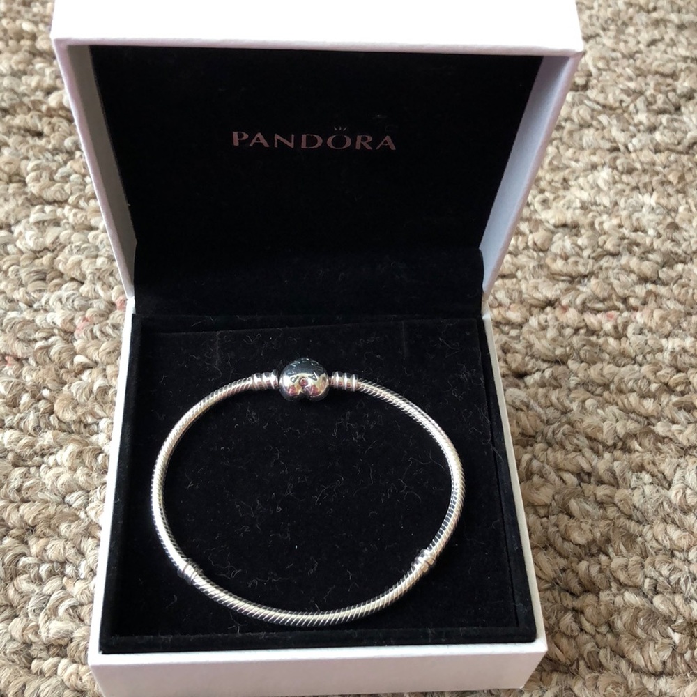 Pandora charm bracelet